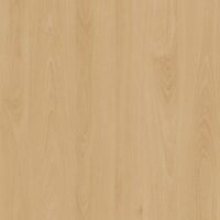 m3247_woodland_beech