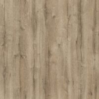 m6280_sanctuary_oak