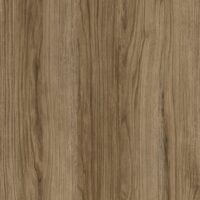 m6304_etna_oak